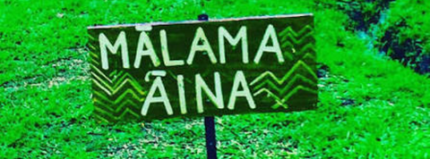 Mālama ʻĀina: Understanding Hawaii’s Deep Connection to the Land