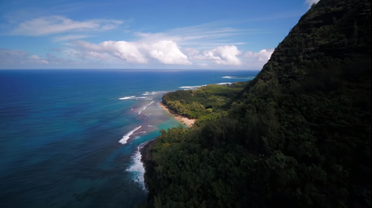 Hawaiian Ambience to Enjoy with Aloha Sun