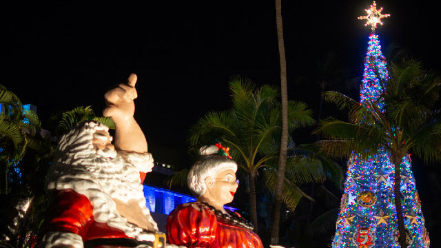 Hawaiian Christmas