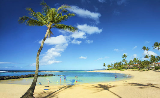 “The Best Beaches in Hawai‘i for Every Traveler” – Surfing, snorkeling, family-friendly, quiet escapes.